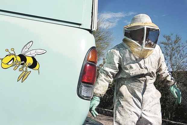 Bee swarms up this year  