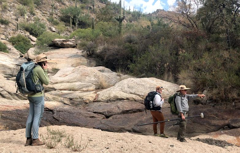 Perennial springs in the Rincon Mountains