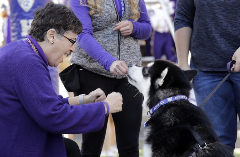 Oregon St Washington Football