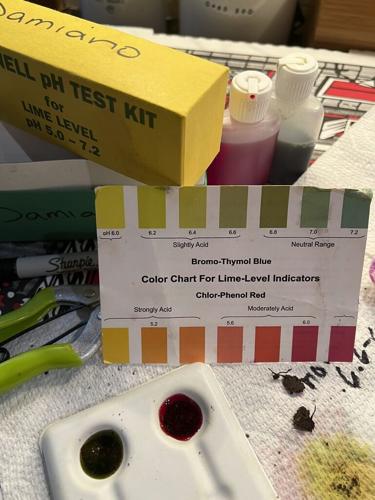 Gardening - Spring Checklist