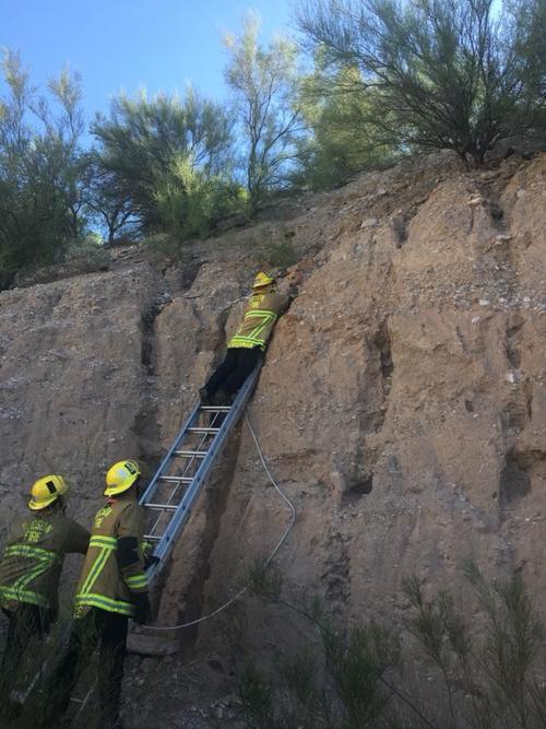 Tucson fire rescue dog