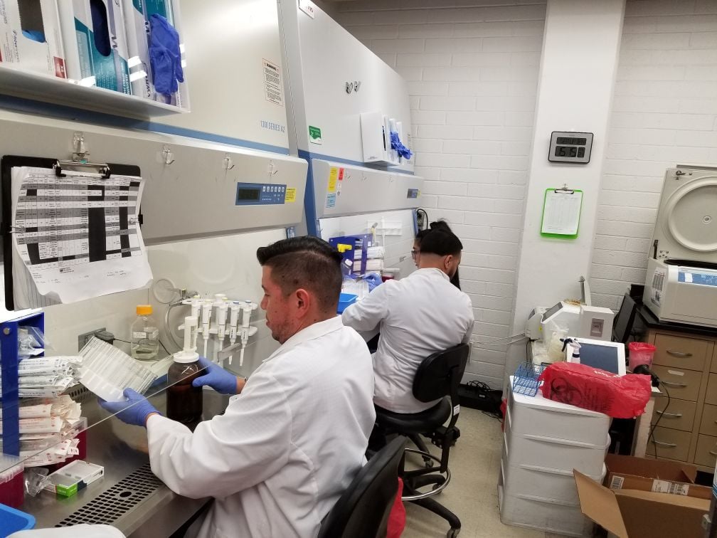 UA researchers work on COVID-19 test kits