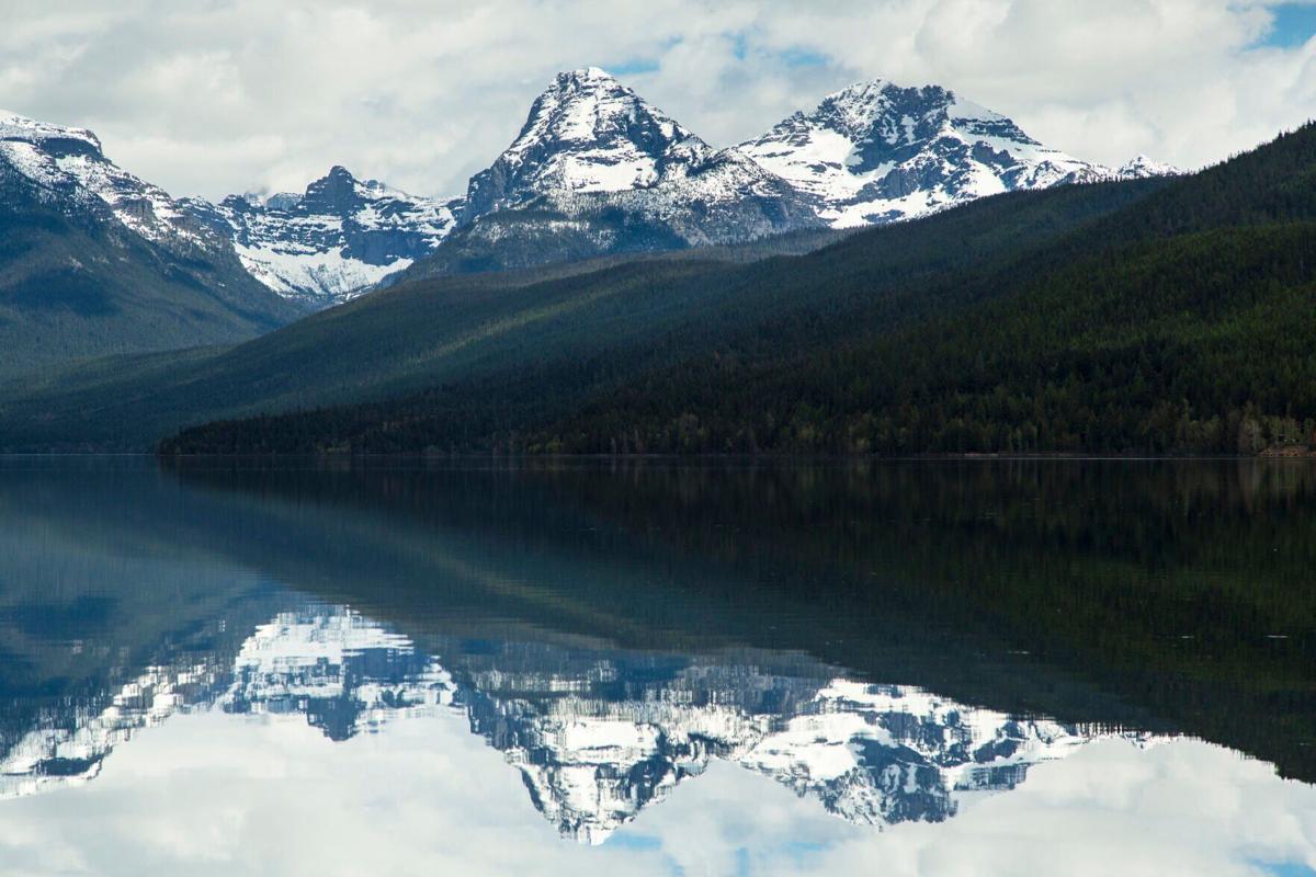 Where no fish has gone before: Can the ESA remake habitats for struggling species?