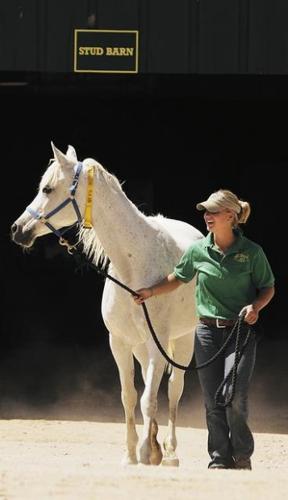 There's no time to horse around  