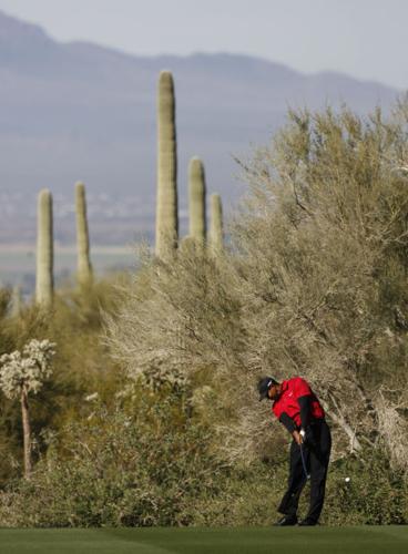 Tiger Woods, 2008 winner