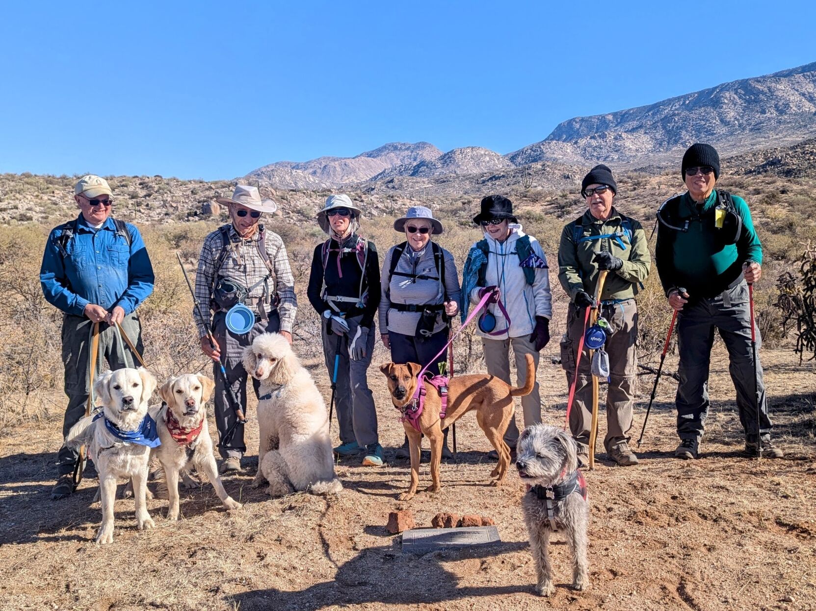 2025-01-23-Dog-Friendly-Hike.jpg