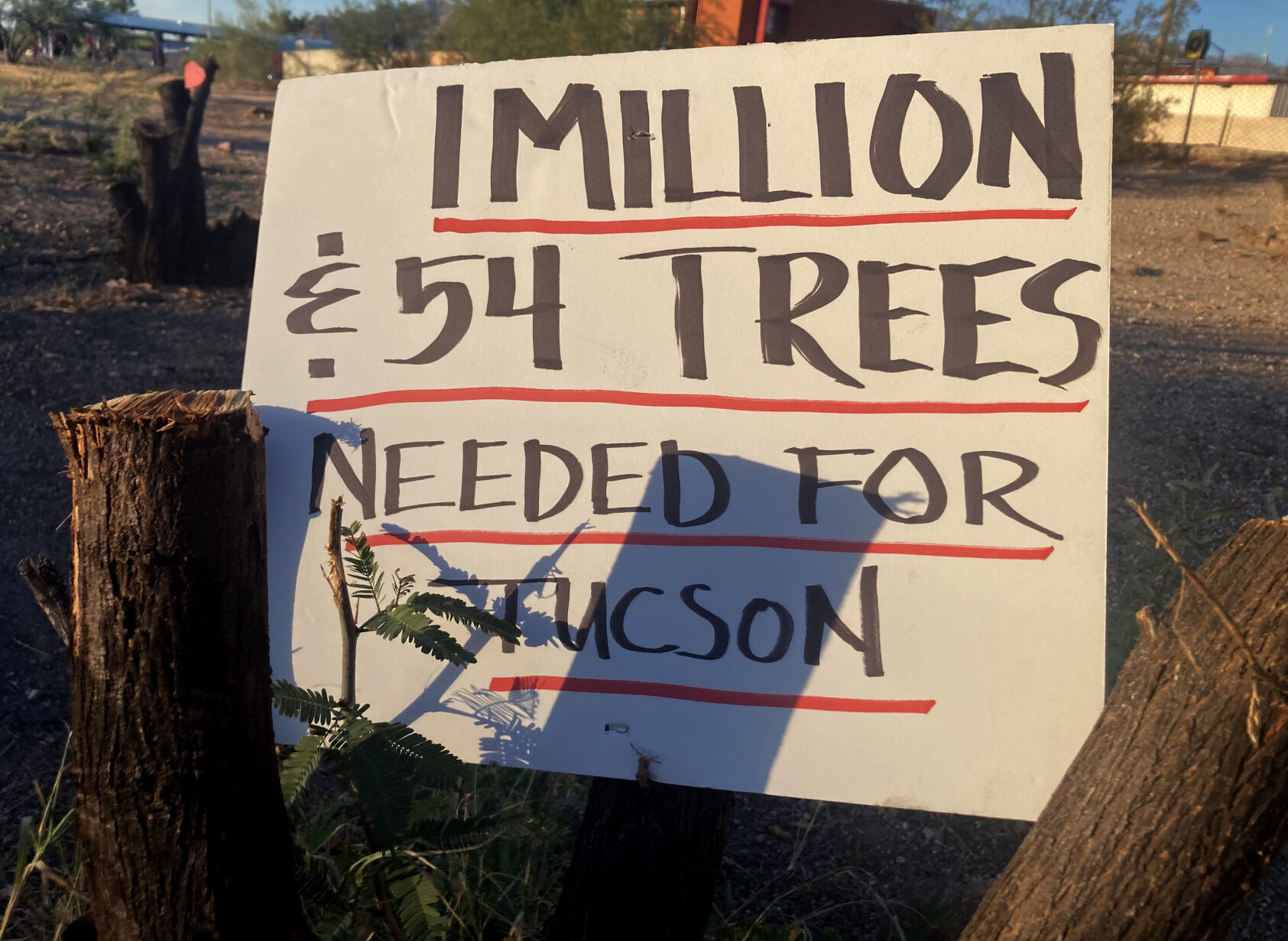 Navajo Wash Park, 2023