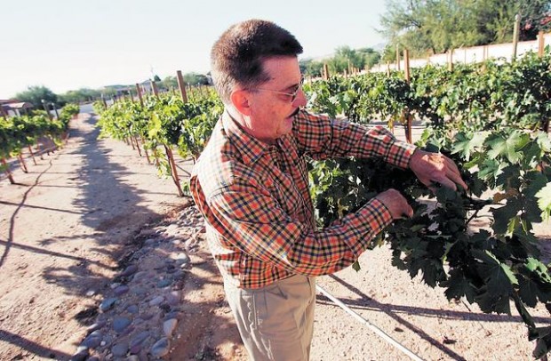 Tiny vintner has big ambitions  