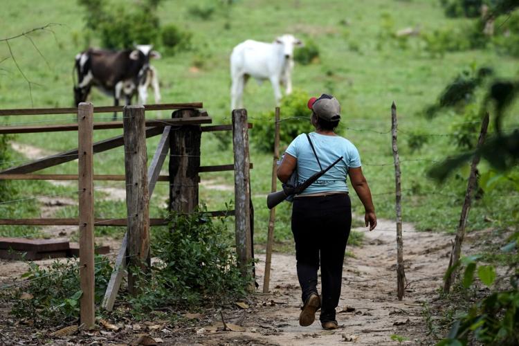 Amazon Lula Deforestation