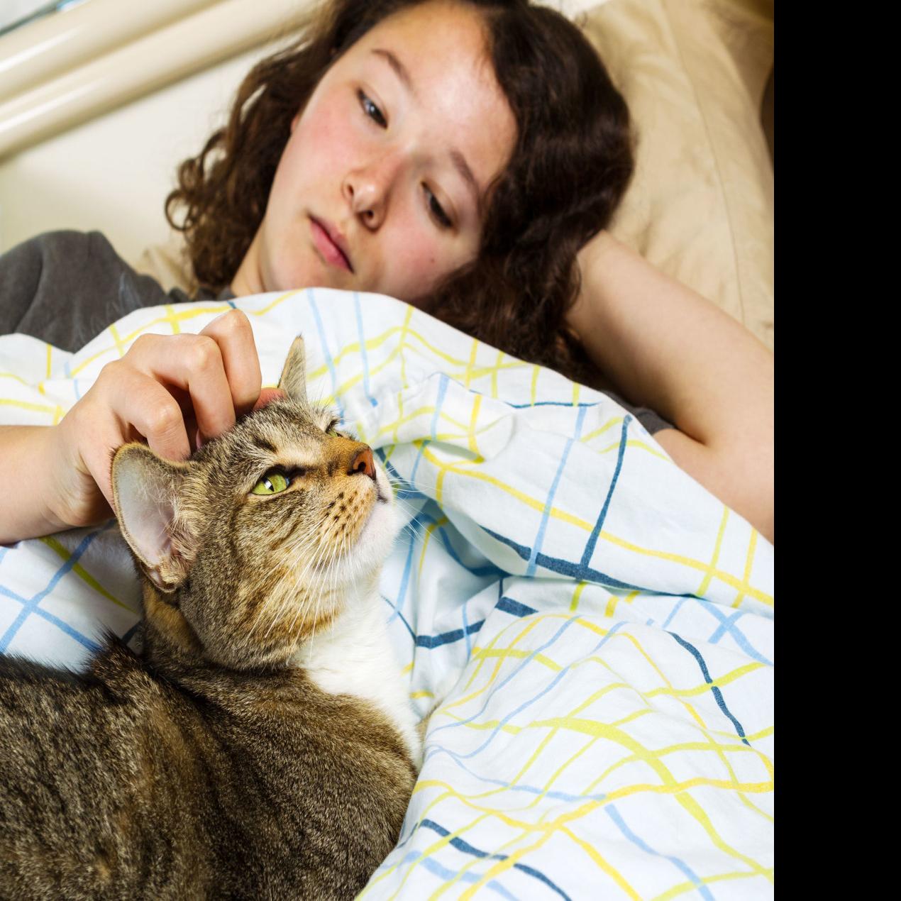 My Pet World Nocturnal Cat Needs A Clock Reset Pets Tucson Com