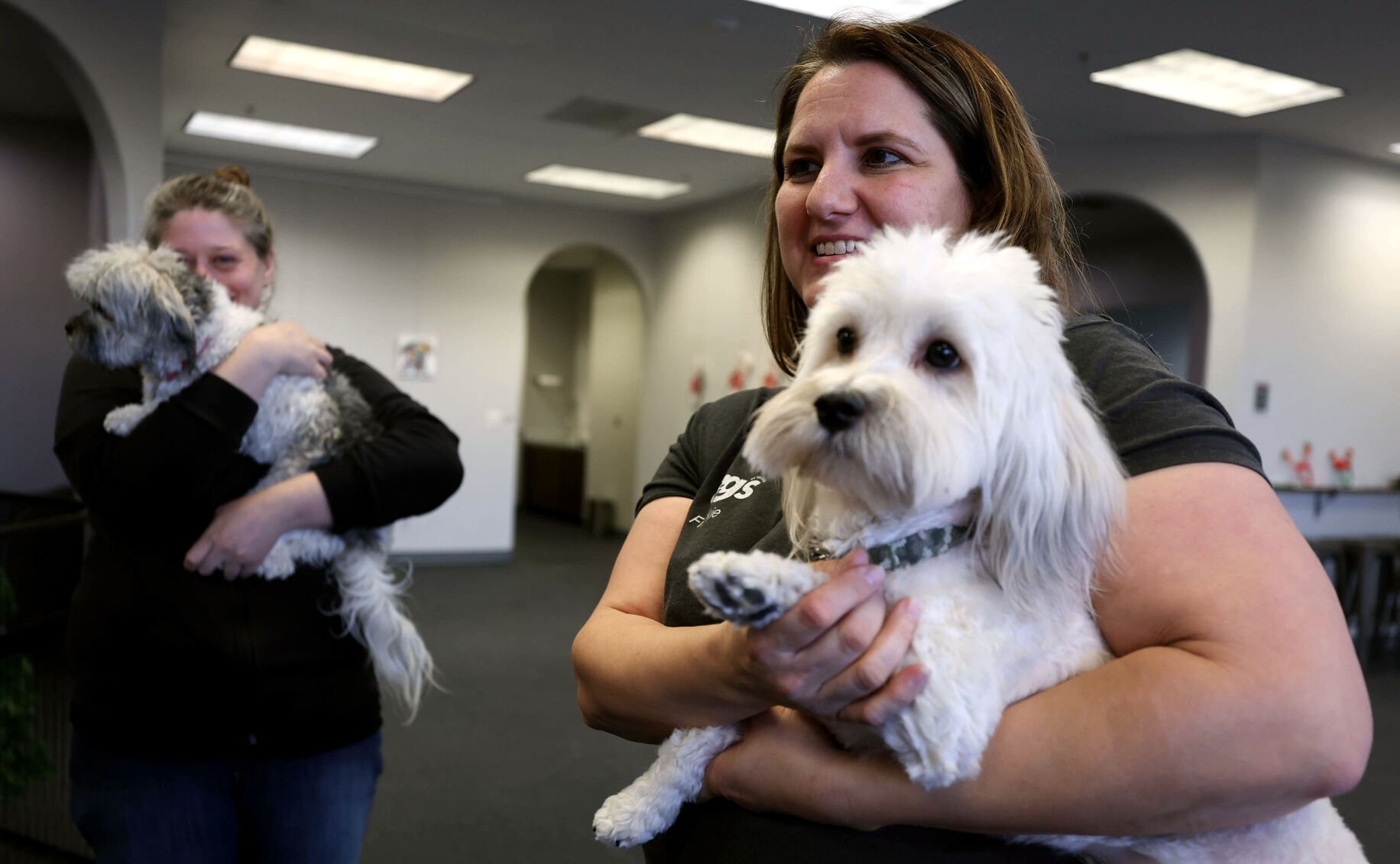 Dogs can run around off leash rain or shine at Tucson park