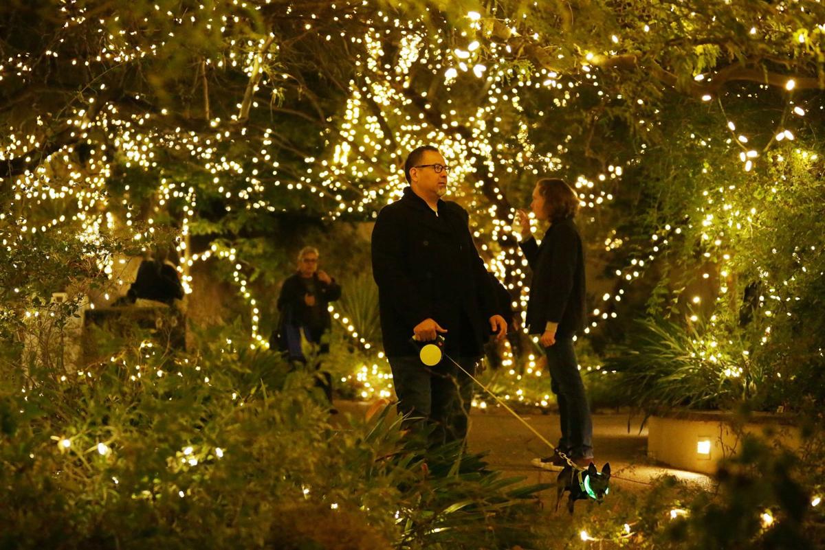 Tohono Chul Christmas Lights 2022 Photos: A Million Lights On Display At Tohono Chul | Galleries | Tucson.com