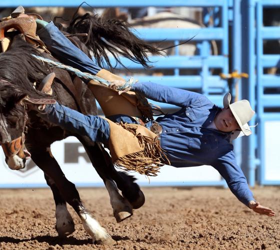 Tucson Rodeo Saturday