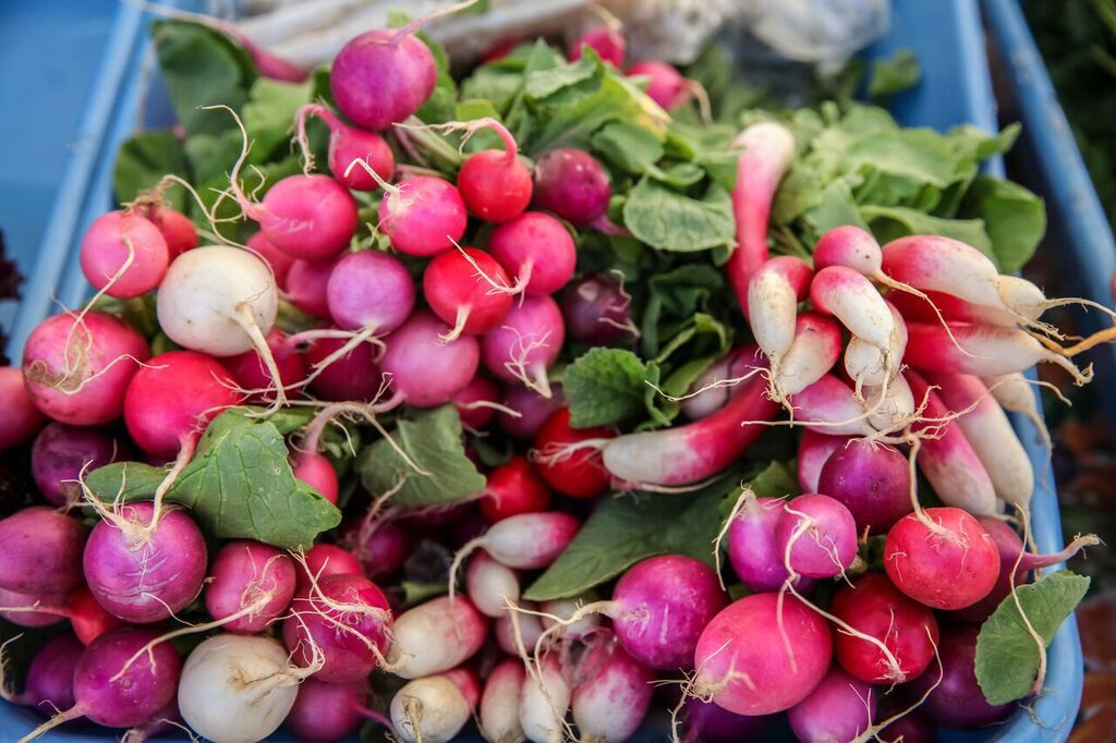 Heirloom Farmers Market — Rillito Park