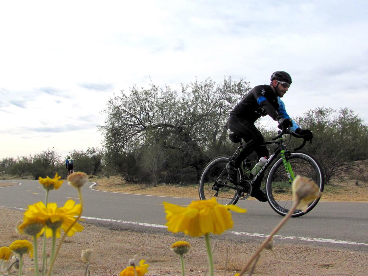 Cyclist (copy)