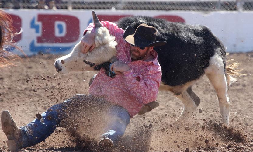 Tucson Rodeo action