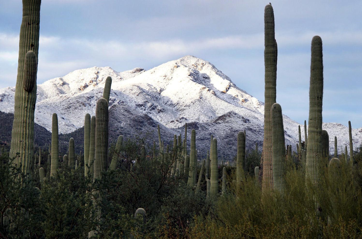 59 beautiful photos of snow in Southern Arizona Tucsón