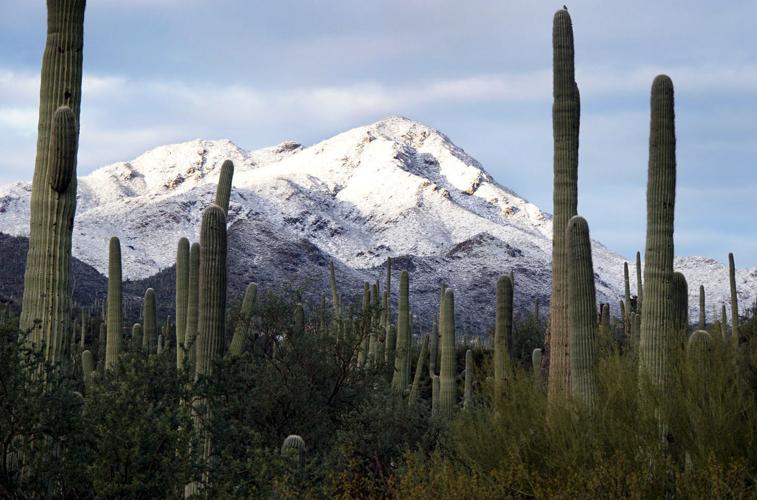 Snow on the Tucson Mountains