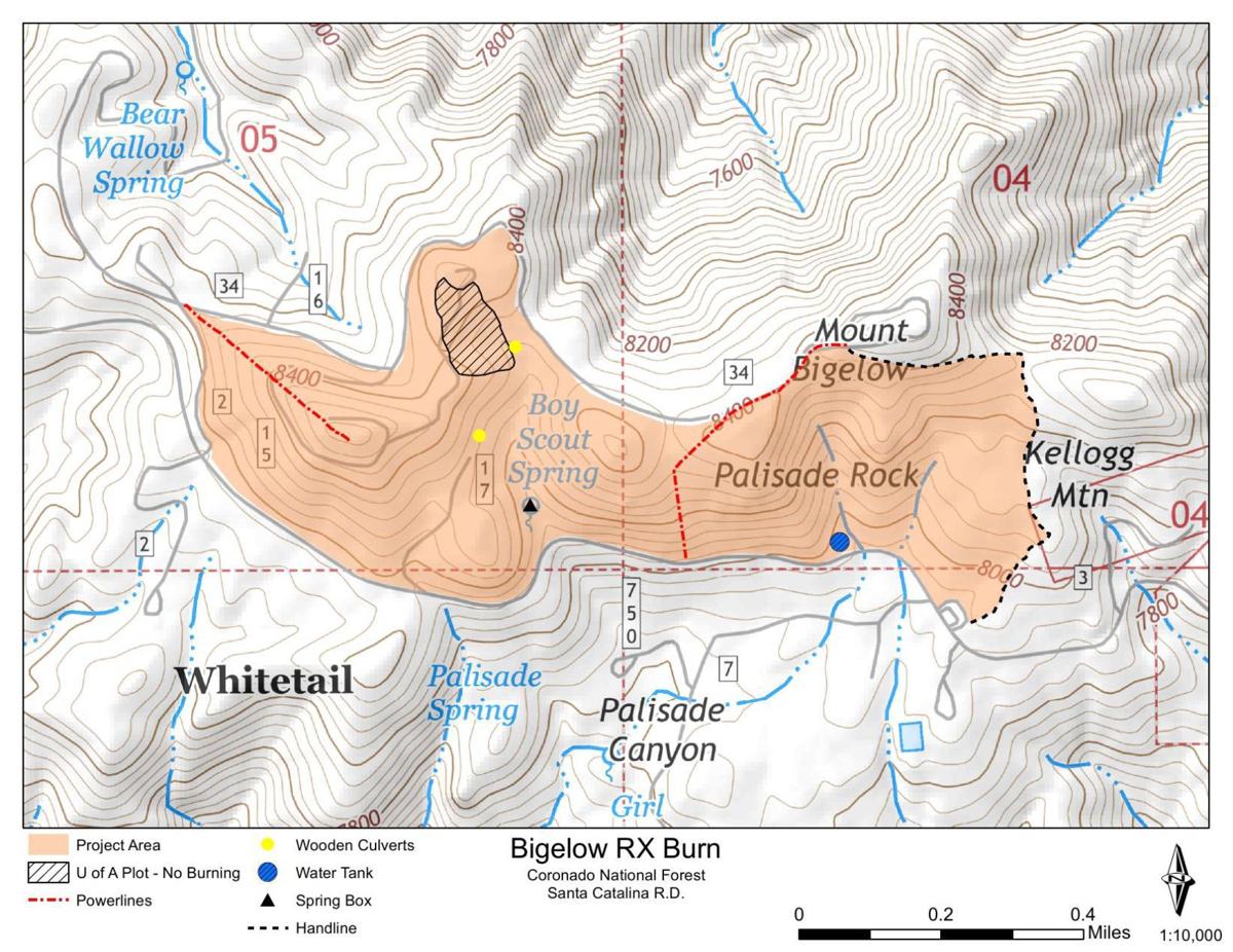 Bigelow prescribed fire map