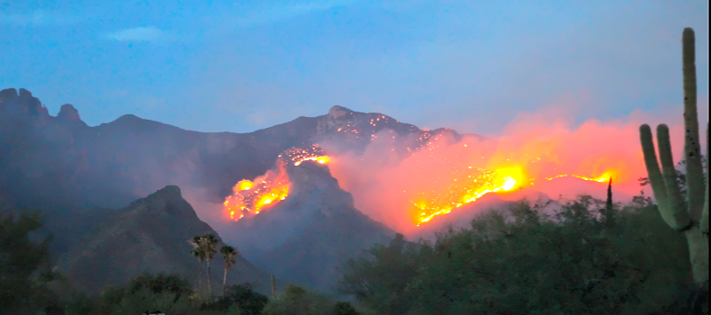 Reader photos: Finger Rock Fire