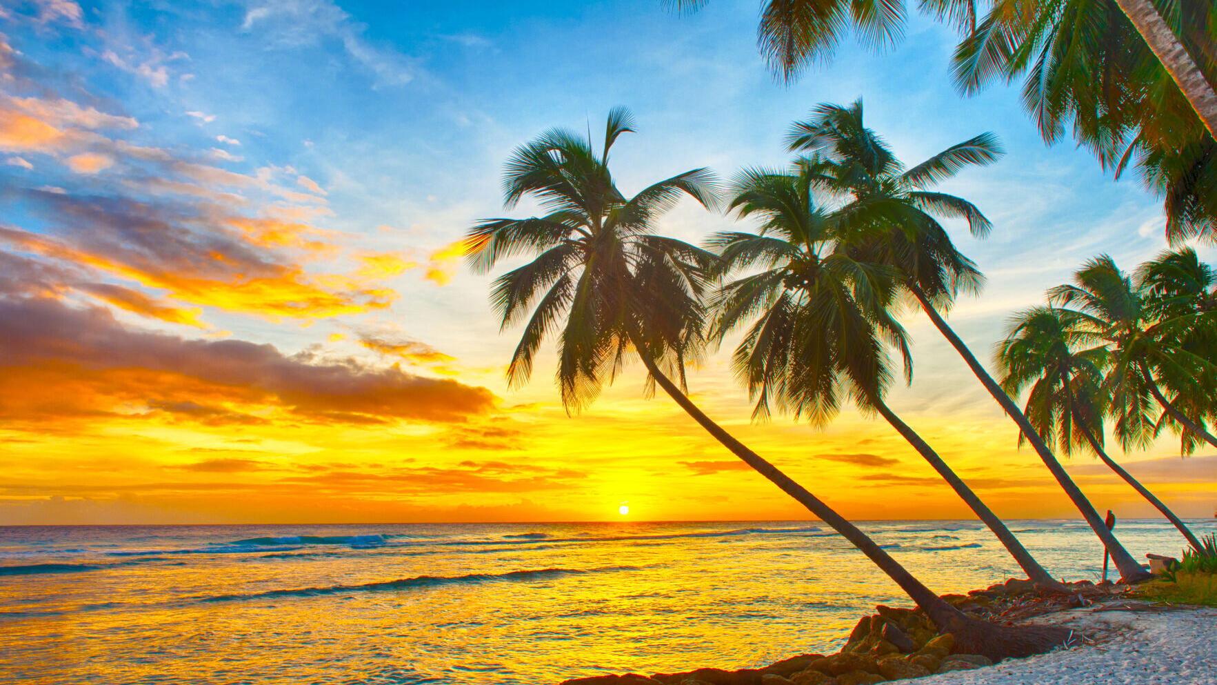 Taking the kids: To Barbados - Vimarsana News
