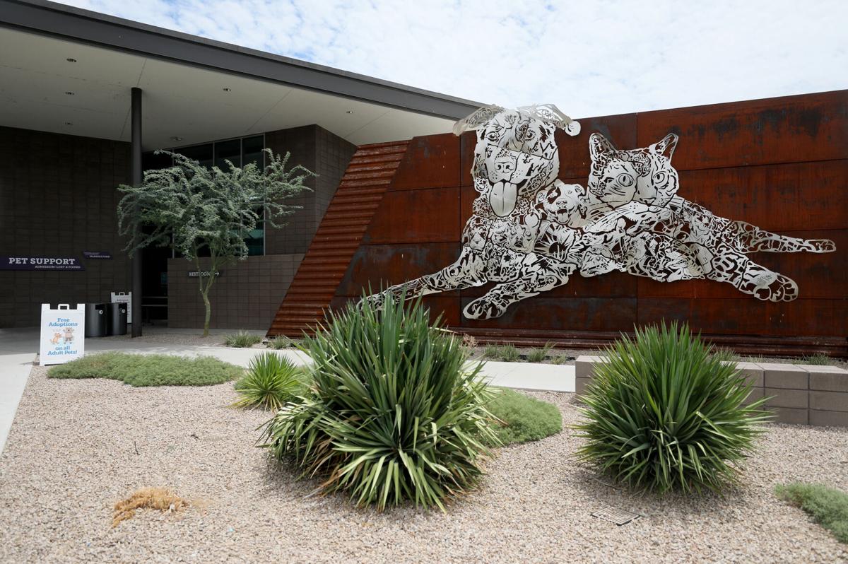 Pima Animal Care Center closure extended through Monday, Jan. 23