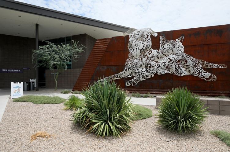 Pima Animal Care Center closure