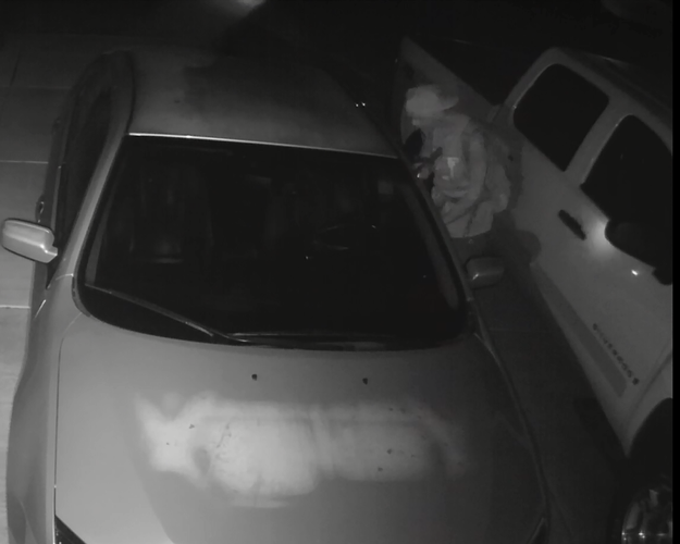 Homeowner's security camera captures suspects jumping on car windshields