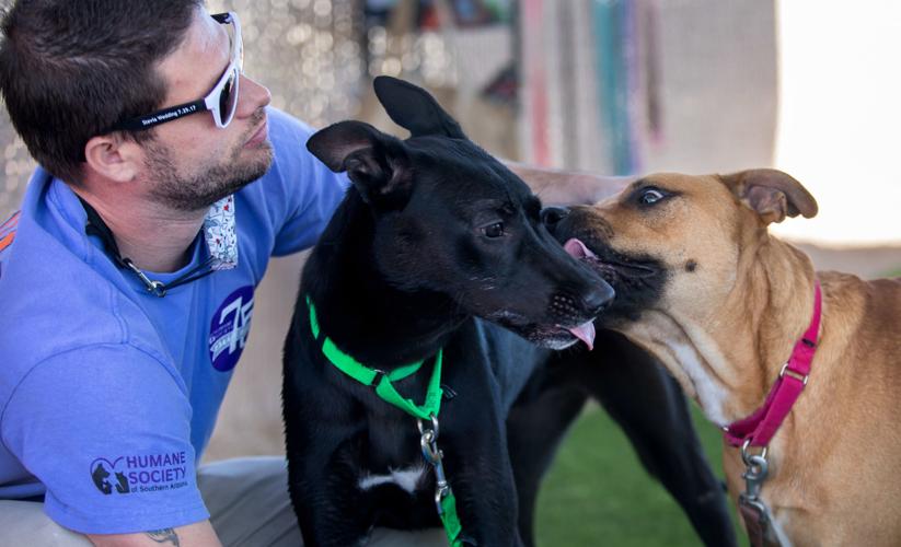 Humane Society Canine Behavior Team