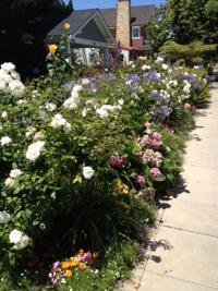 Adventures of a modern mom: Those nice things about Coronado Island are all true