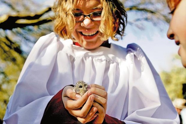 Bless the beasts — all of them  