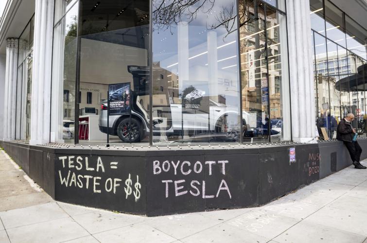 Tesla Musk Protest