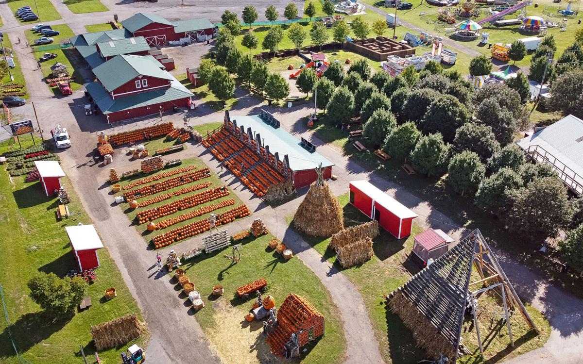 The Great Pumpkin Farm aerial