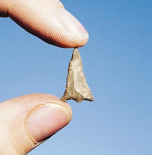 Archaeologists still sifting through the sands of time  