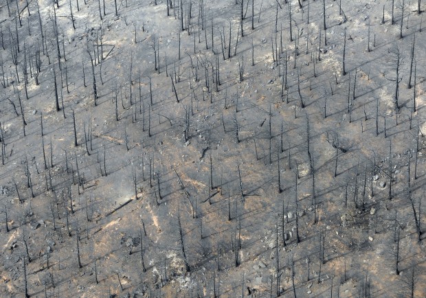 Colorado wildfires