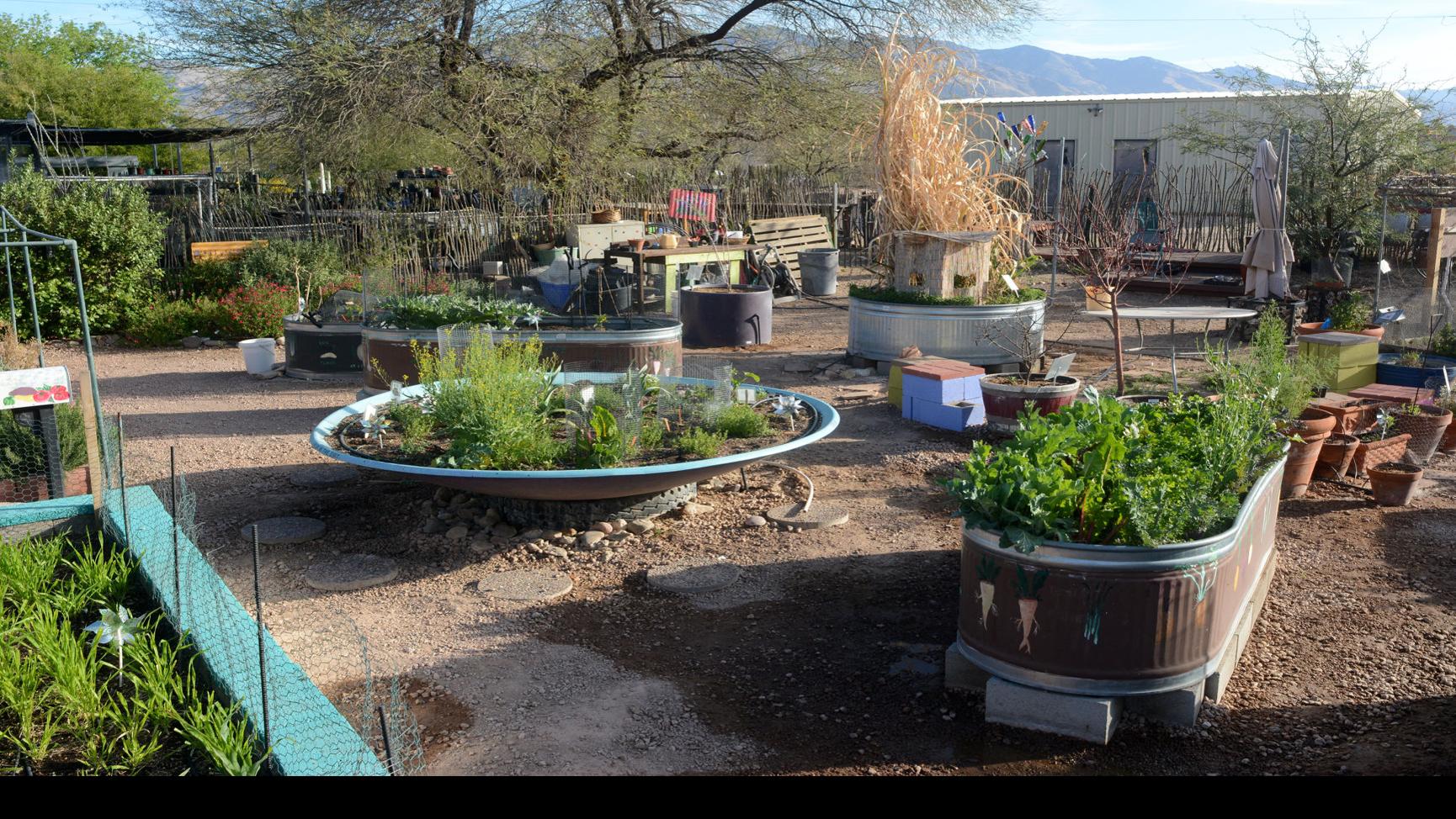 10 Tips For Container Gardening In The Desert Home Life Health Tucson Com