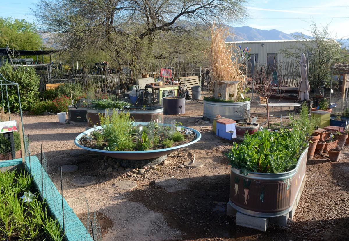 Gardening in the Desert: Thrive in Arid Landscapes