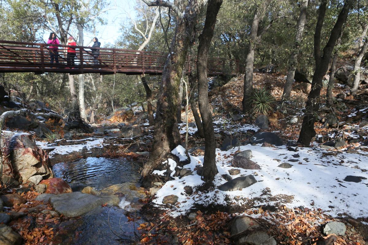 Photos Snow in the Catalinas and Madera Canyon Blogs