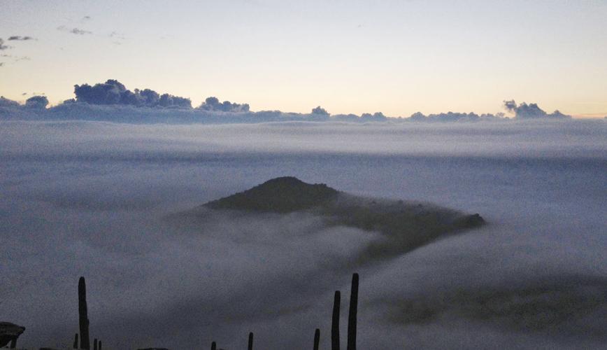 Fog in the desert