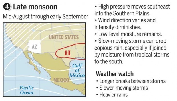 Fourth phase: Late monsoon