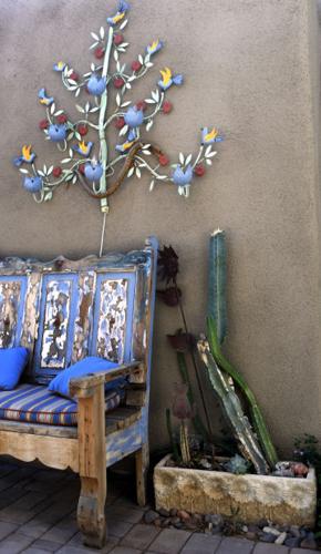 Tucson Botanical Gardens Tour