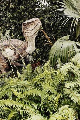 Plants from the past  