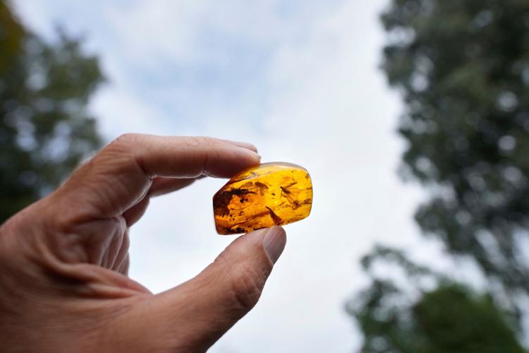 Germany Baltic Sea Amber