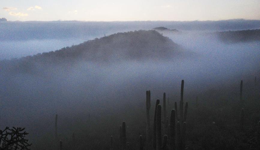 Fog in the desert