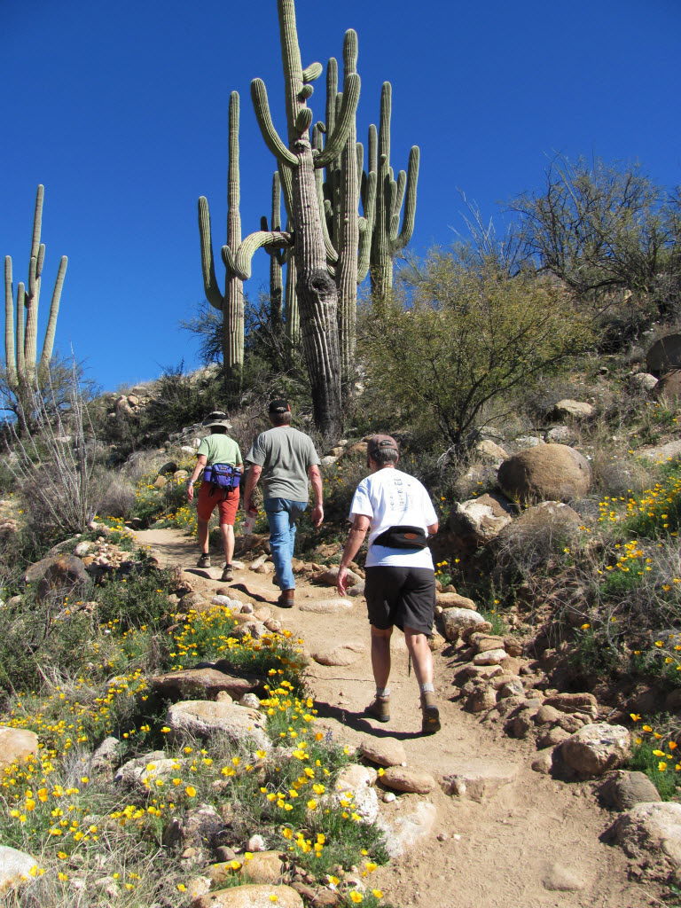 Catalina State Park