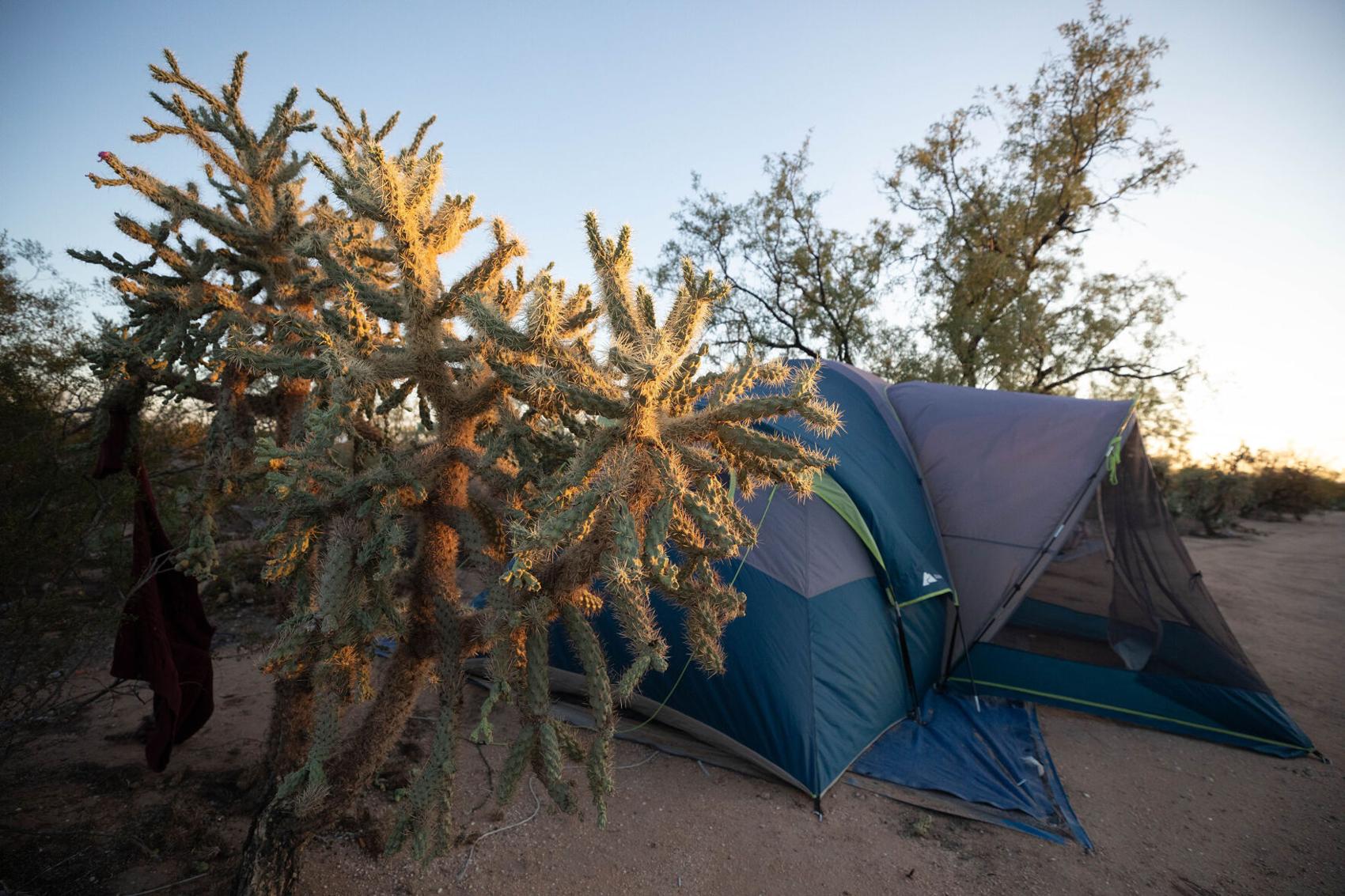 Photos Tucson Homeless encampment in '100 acre woods'