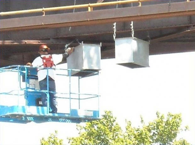 Bridge to get new bat 'condos'    