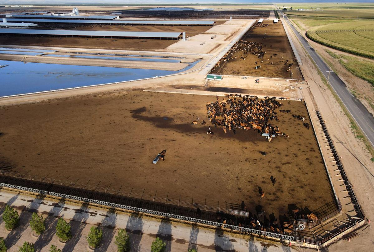 Water crisis: Area families see wells run dry as drought expands, News