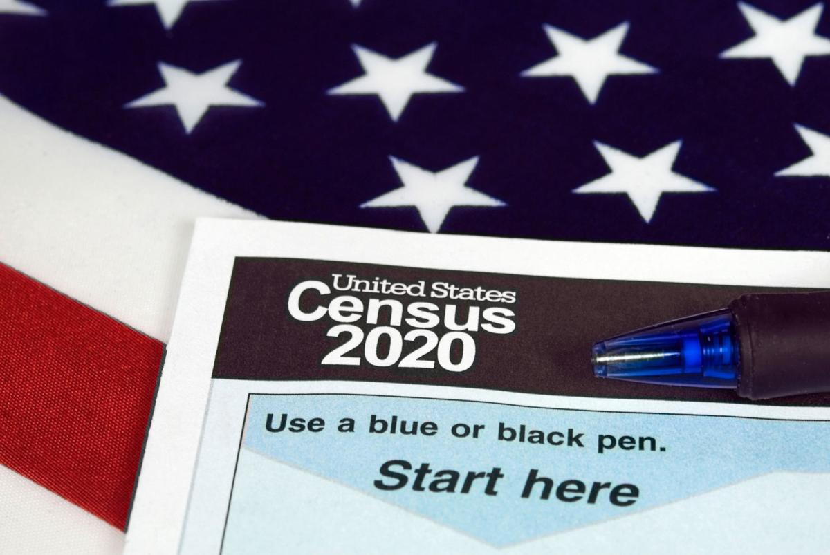 2020 census form