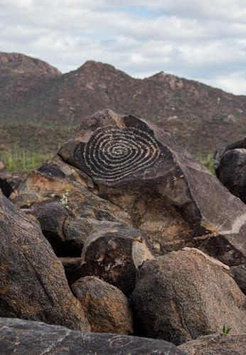 Signal Hill at Saguaro National Park